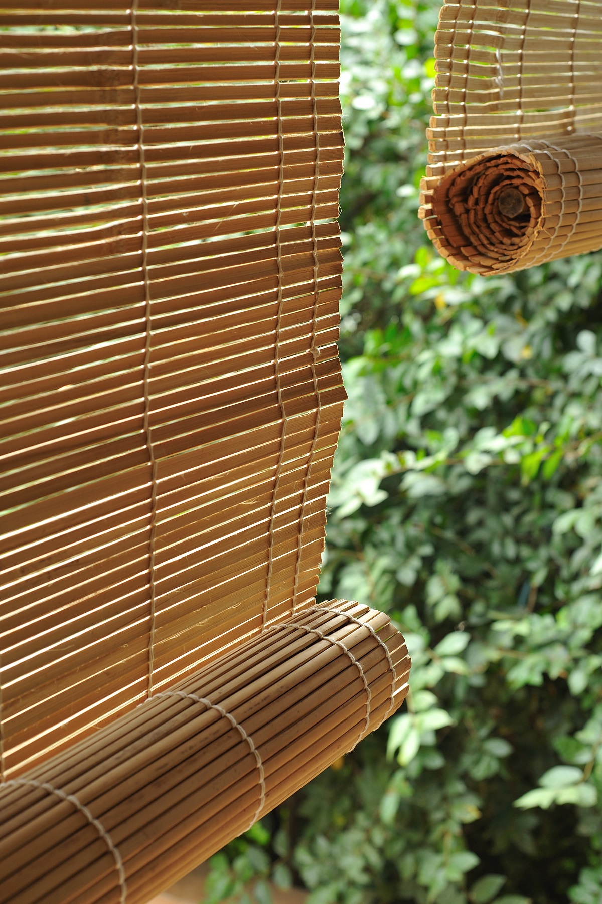 bamboo curtain